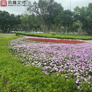 国产麻豆精品观看
